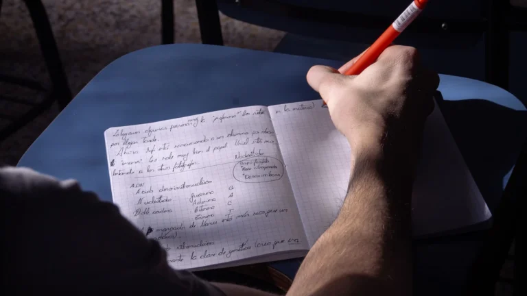 Notion Class Notes Template: Cornell Method in Your Workspace