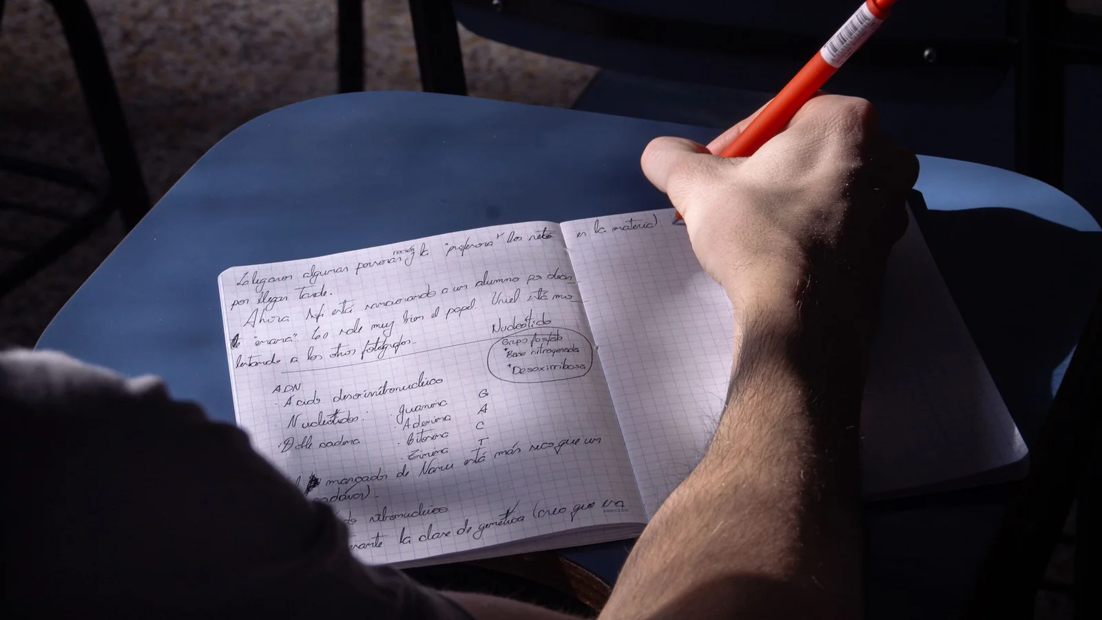 Notion Class Notes Template: Cornell Method in Your Workspace